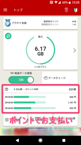 ポイント支払いの例
