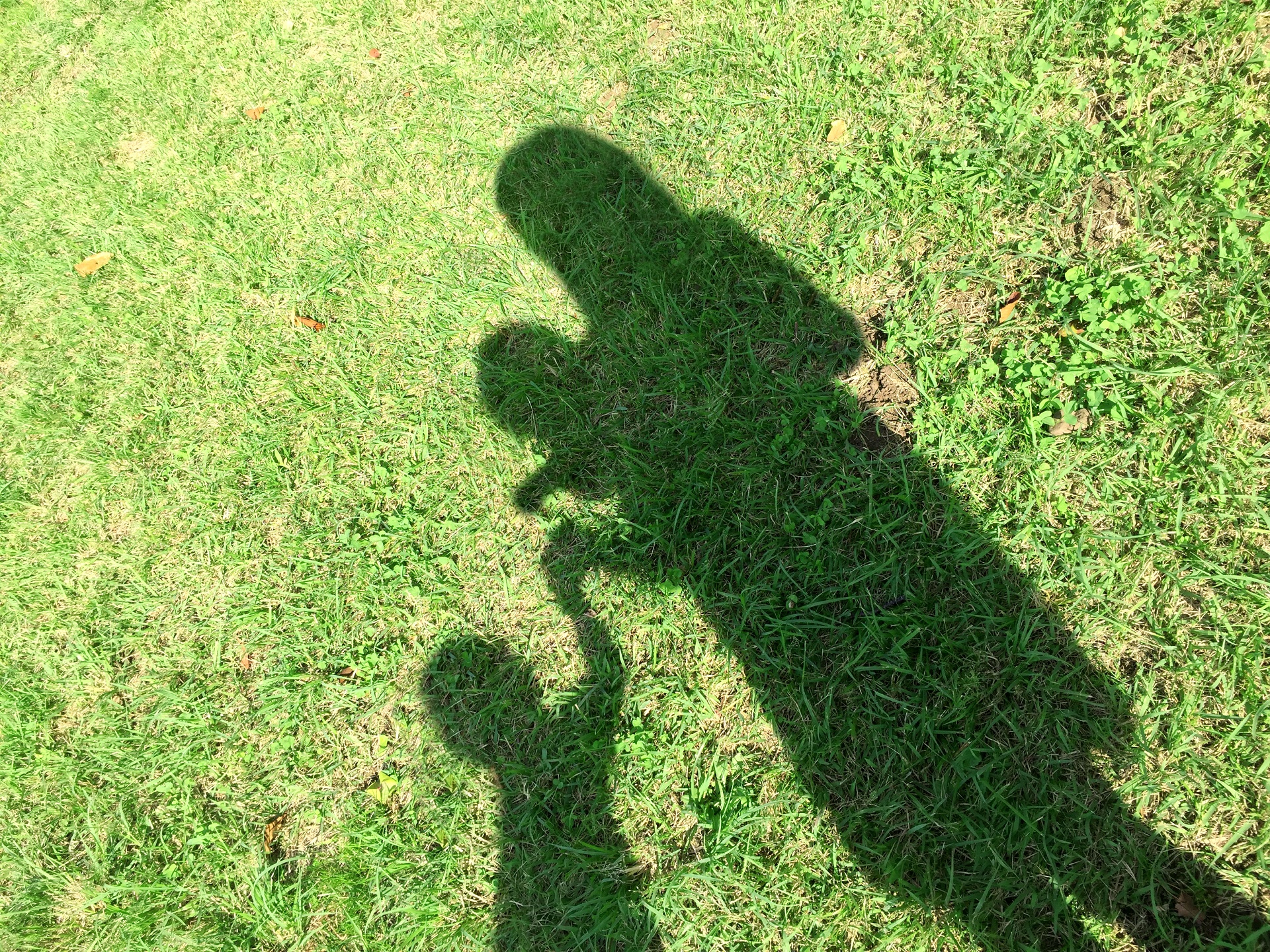 アイキャッチ_子育て